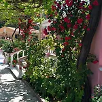 Hotel Elena 3*
