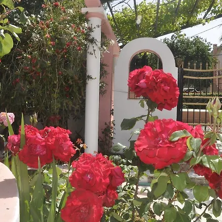 Elena ホテル エルモネス