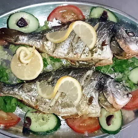 Elena 3* エルモネス