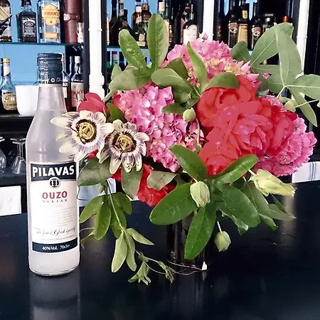 ホテル Elena エルモネス